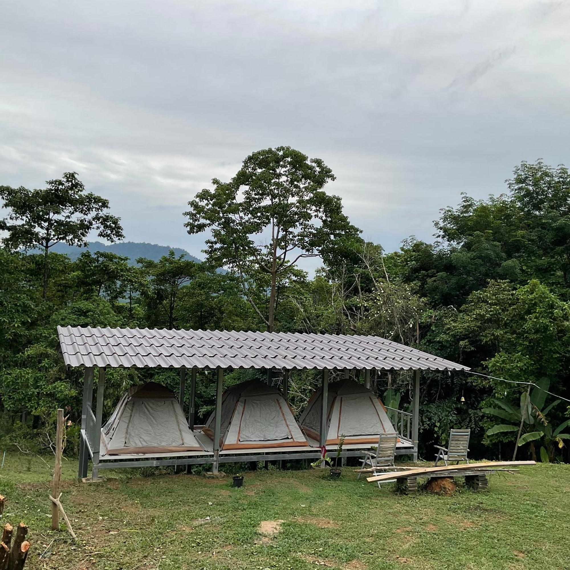 Khao Sok Hill Top Resort Khao Sok National Park Экстерьер фото