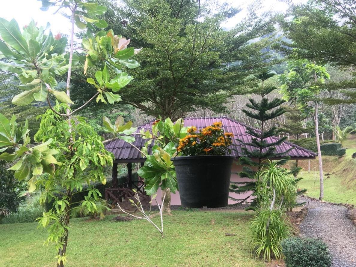 Khao Sok Hill Top Resort Khao Sok National Park Экстерьер фото