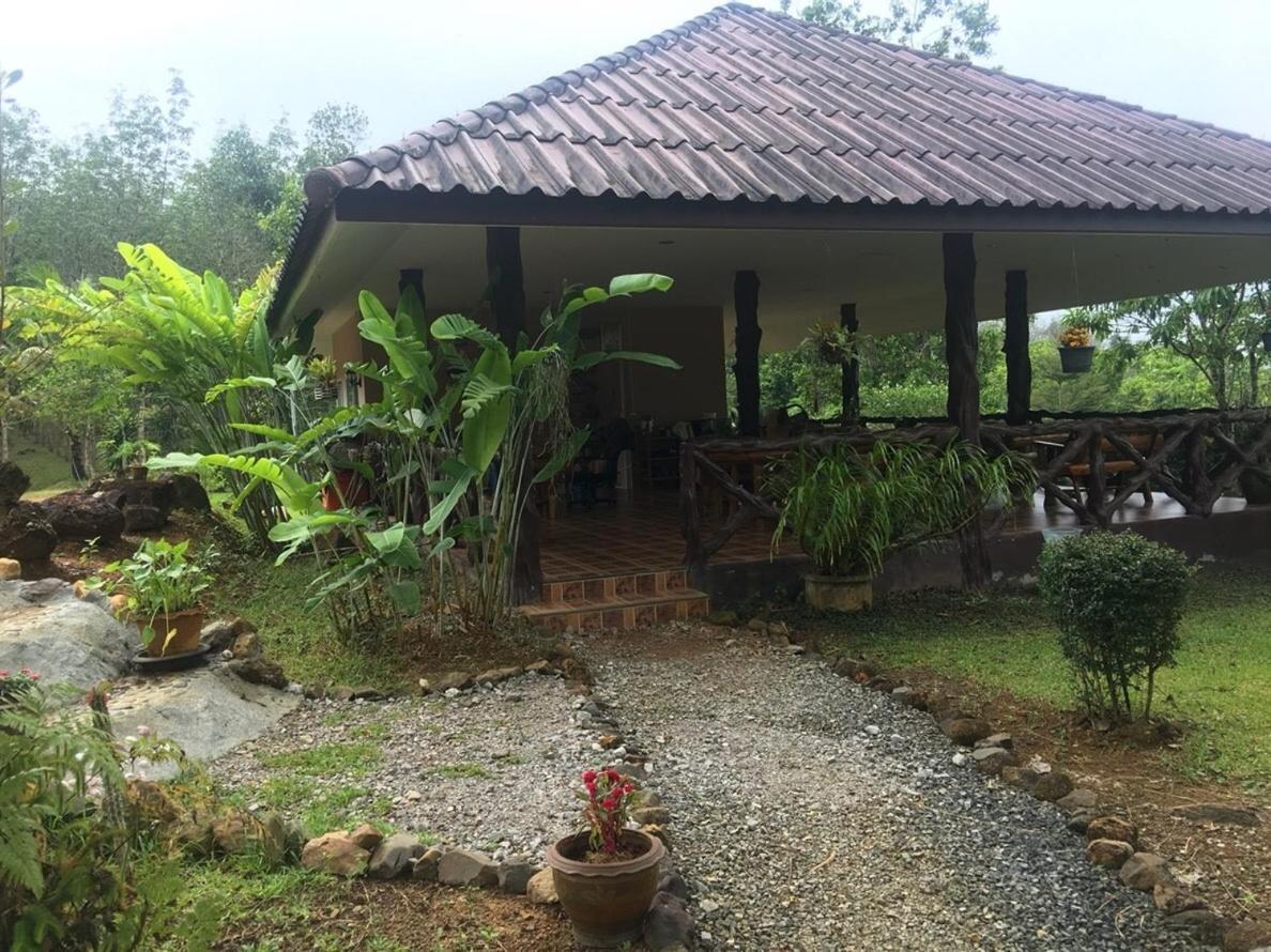 Khao Sok Hill Top Resort Khao Sok National Park Экстерьер фото